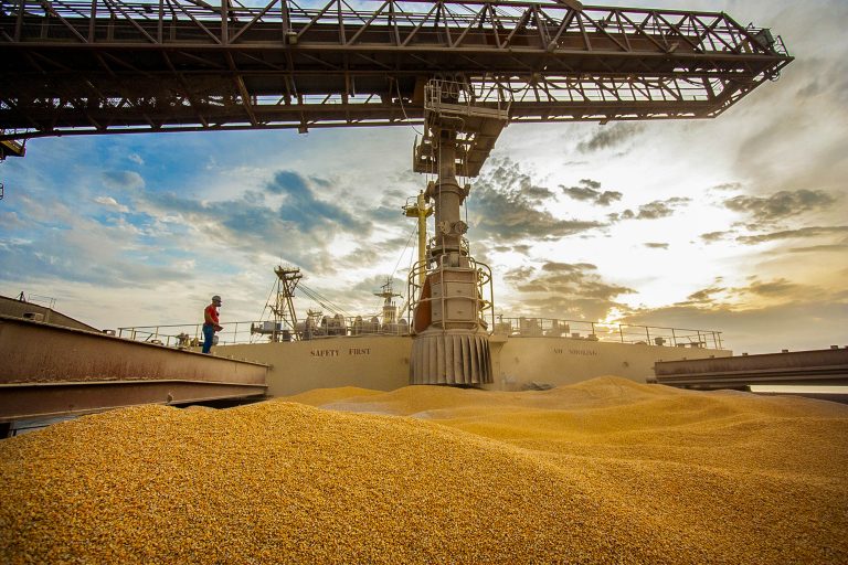 País vem batendo recordes na produção de milho, que está escasso para o mercado interno Fonte: Agência Câmara de Notícias