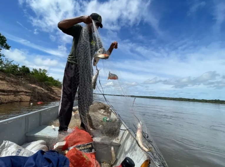 Mais de 18 mil metros de redes são apreendidas nos primeiros quatro meses deste ano no Tocantins - Foto: Naturatins/Divulgação