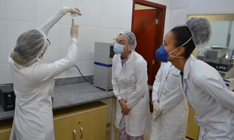 Pesquisadores da UFT participam de treinamento para sequenciamento genético do SARS-Cov-2. (Foto: divulgação)