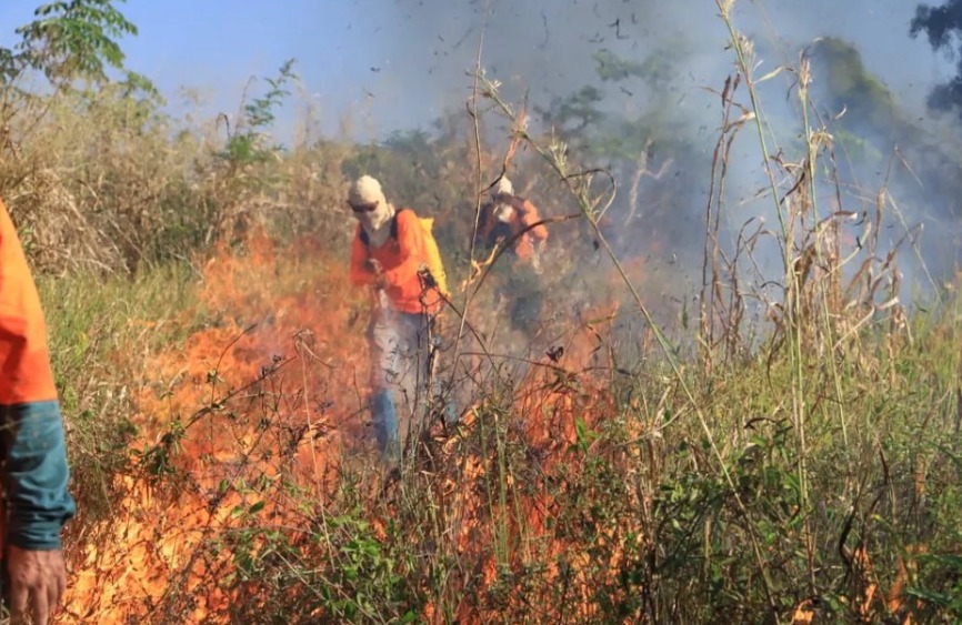 Focos de incêndio aumentam na estiagem - Foto: Fernando Alves/Governo do Tocantins