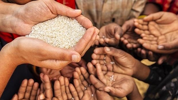 Insegurança alimentar atinge mais de 60 milhões de brasileiros, diz ONU