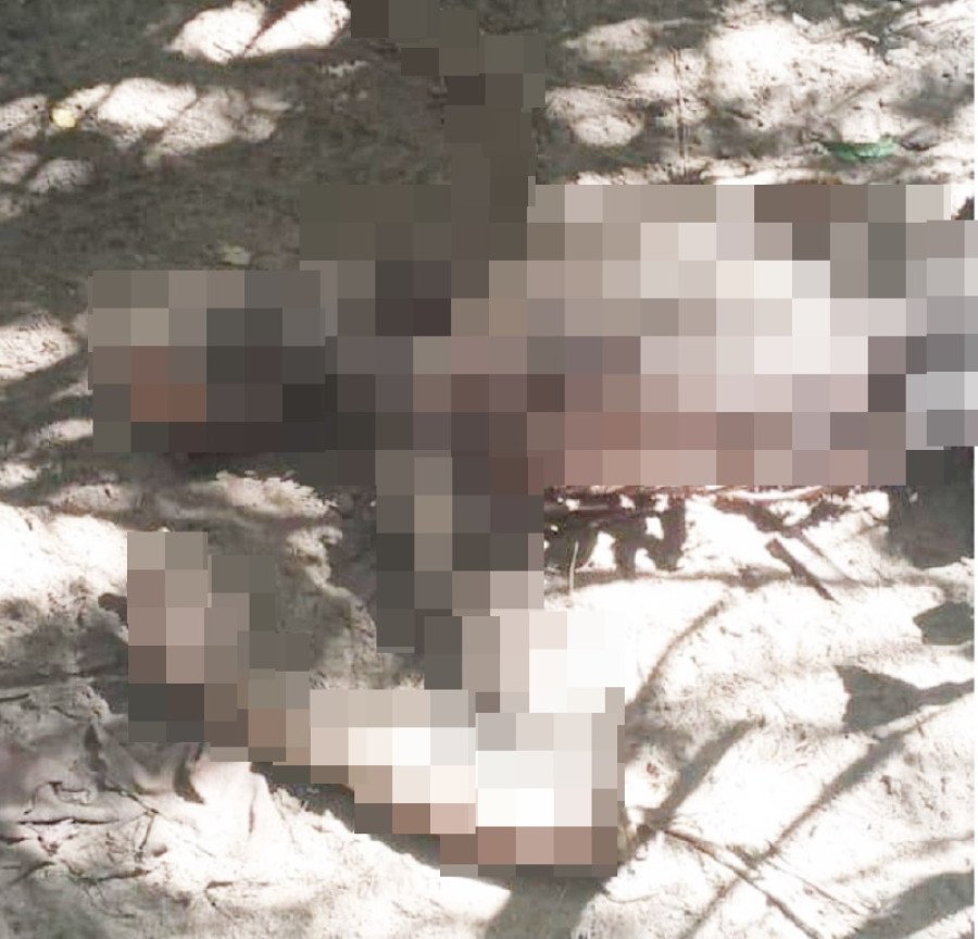 Corpo de mulher é encontrado em avançado estado de decomposição na zona rural de Augustinópolis (Foto: Divulgação)