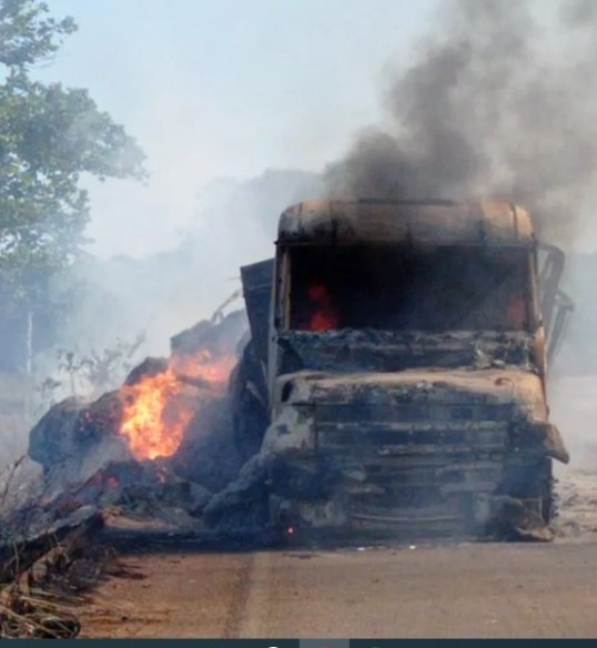 Caminhão foi atingido por incêndio em vegetação - Foto: Divulgação
