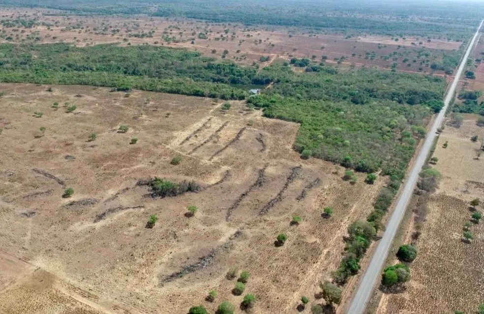 Área de vegetação foi desmatada de forma ilegal em Araguaçu, no TO - Foto: Divulgação/PM Ambiental