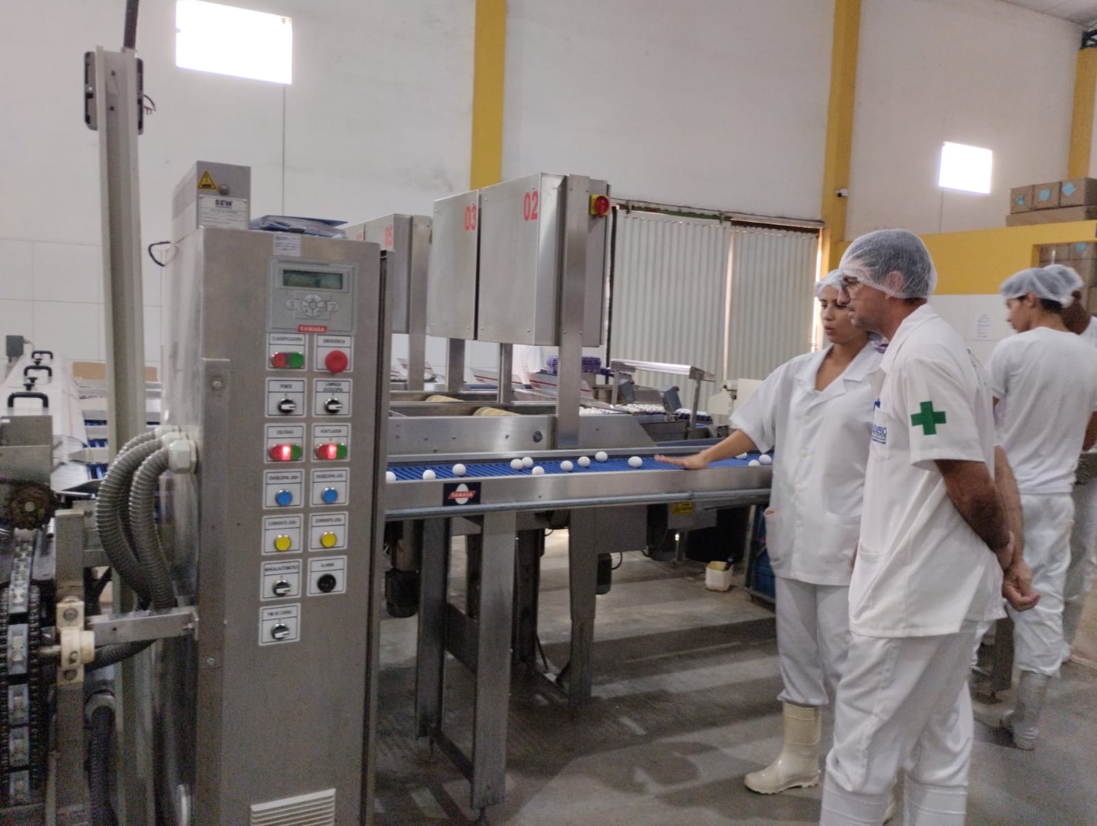 Adapec inspeciona produção de ovos em granja, no município de Fátima. Foto: Divulgação Adapec