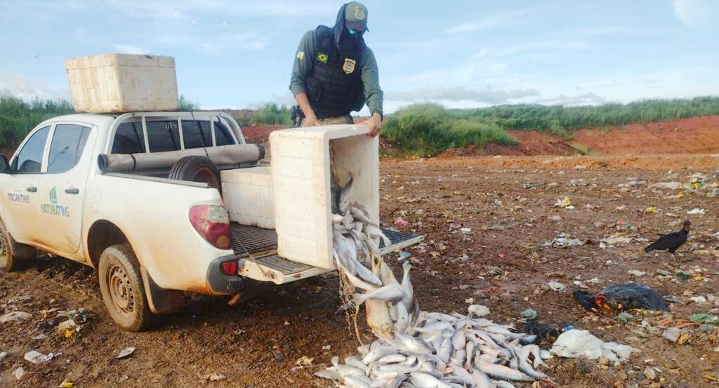 Pescado inadequado ao consumo humano foi descartado no aterro sanitário da Capital/Foto/Divulgação Naturatins