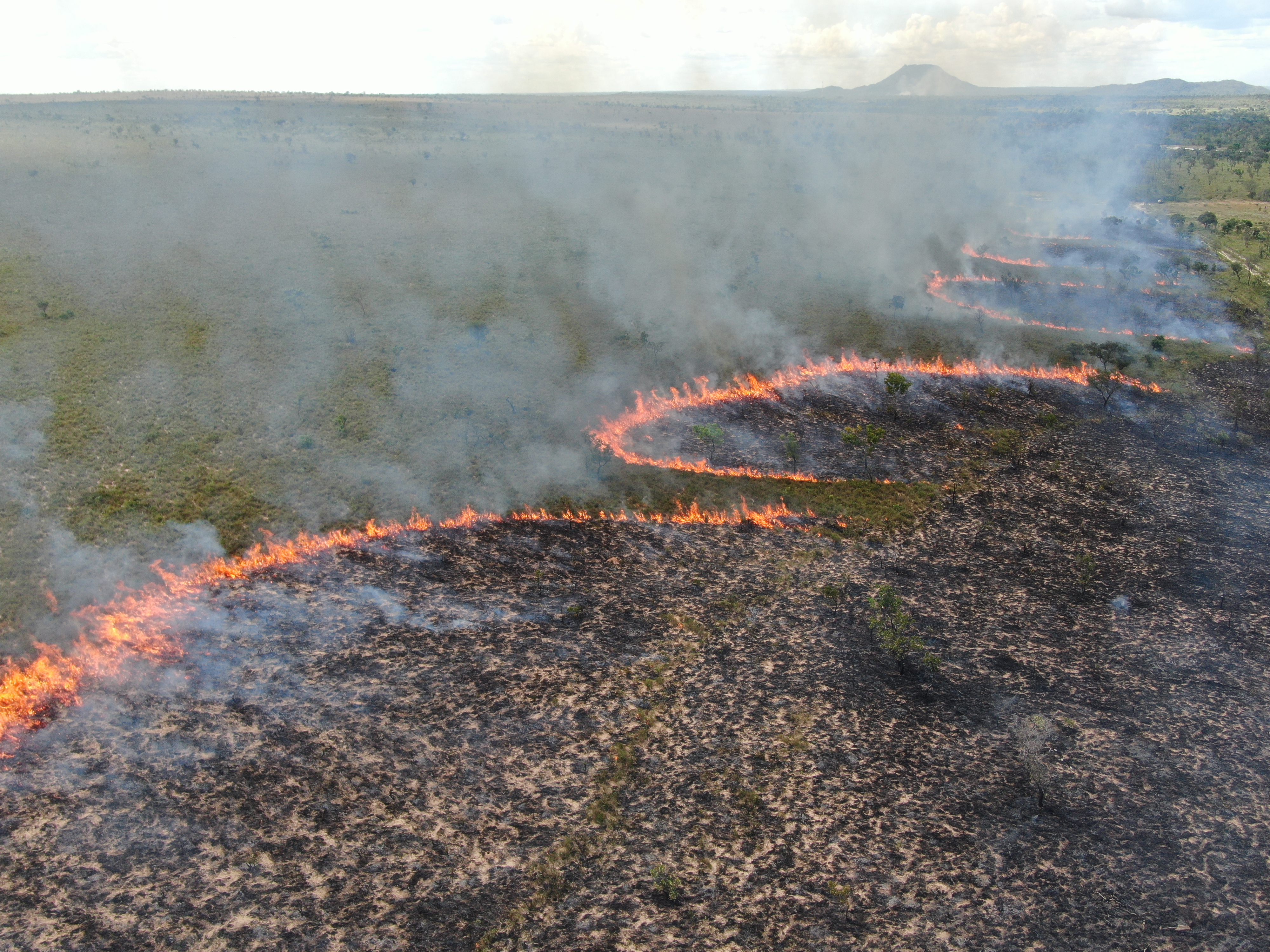 Formação de mosaicos de áreas queimadas na vegetação cria barreiras naturais à propagação de incêndios/Foto: Divulgação Naturatins