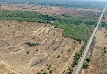Empresário é autuado em R$ 46 mil por desmatar área de vegetação sem licença no Tocantins
