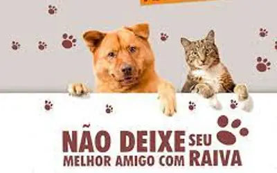 Campanha contra a raiva (cães e gatos) em Guaraí começa na quinta (11/08); veja o cronograma