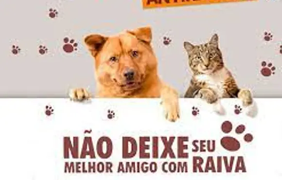 Campanha contra a raiva (cães e gatos) em Guaraí começa na quinta (11/08); veja o cronograma